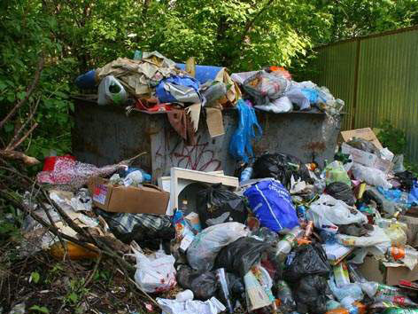 Отходов форум. Мусор в озере. База мусора калачинск. Грибы около мусора. Полигон мусора.